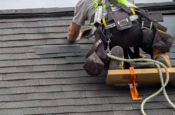 Best Storm Damage Roof Repair  in Du Quoin, IL