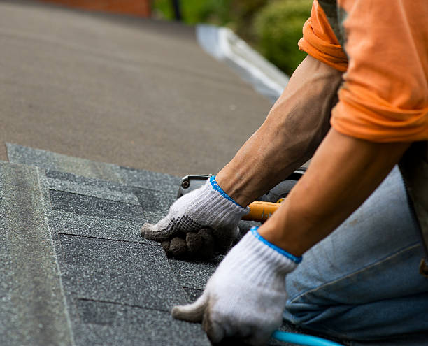 Quick and Trustworthy Emergency Roof Repair Services in Du Quoin, IL