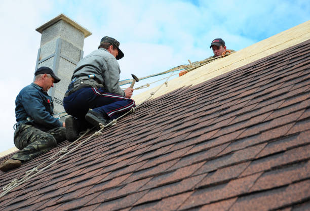 Best Roofing Contractor Near Me  in Du Quoin, IL