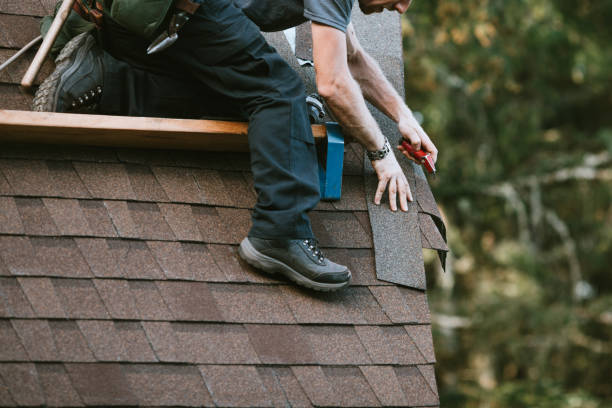 Best Roof Inspection Near Me  in Du Quoin, IL
